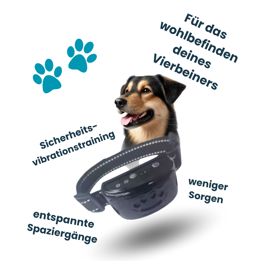 PawSense | Anti-Bell Halsband