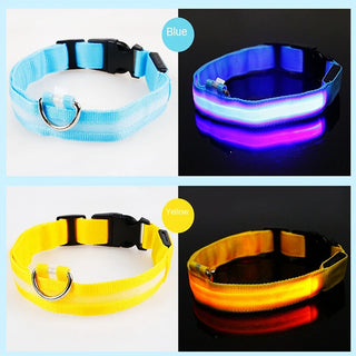 Leuchtendes Ladehalsband für Hunde mit LED