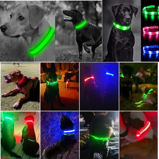 Leuchtendes Ladehalsband für Hunde mit LED