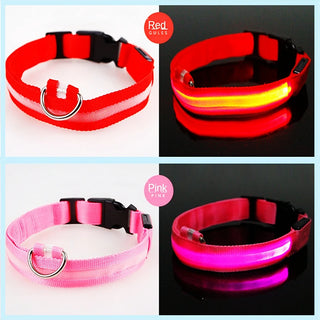 Leuchtendes Ladehalsband für Hunde mit LED