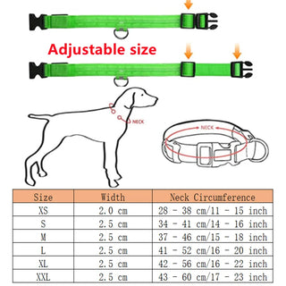 Leuchtendes Ladehalsband für Hunde mit LED