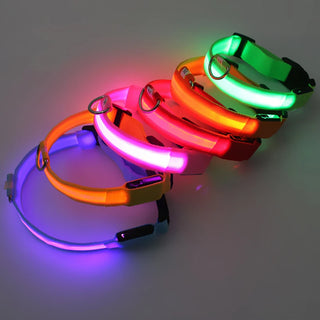 Leuchtendes Ladehalsband für Hunde mit LED