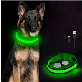 Leuchtendes Ladehalsband für Hunde mit LED