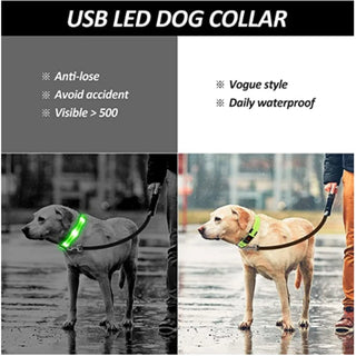 Leuchtendes Ladehalsband für Hunde mit LED