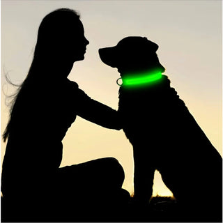 Leuchtendes Ladehalsband für Hunde mit LED