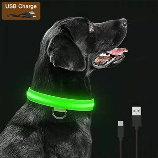 Leuchtendes Ladehalsband für Hunde mit LED